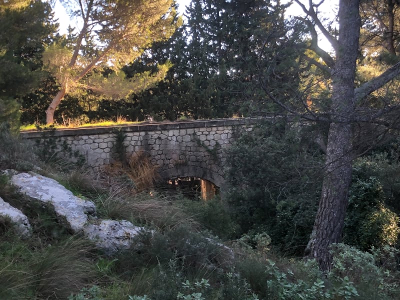 Les Alpilles : de Maussane aux Baux de Provence - Maussane-les-Alpilles