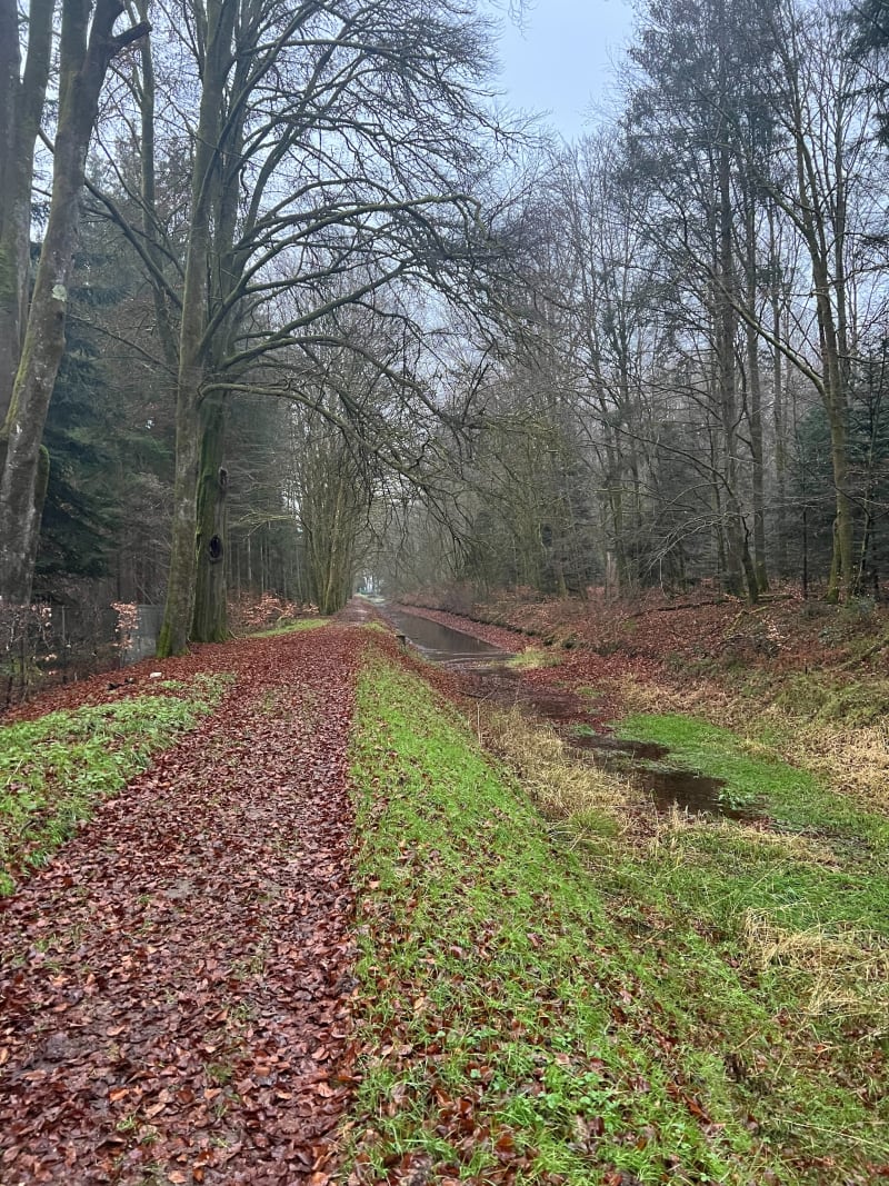 Rigole d’alimentation du lac de Bouzey depuis Hadol - Hadol