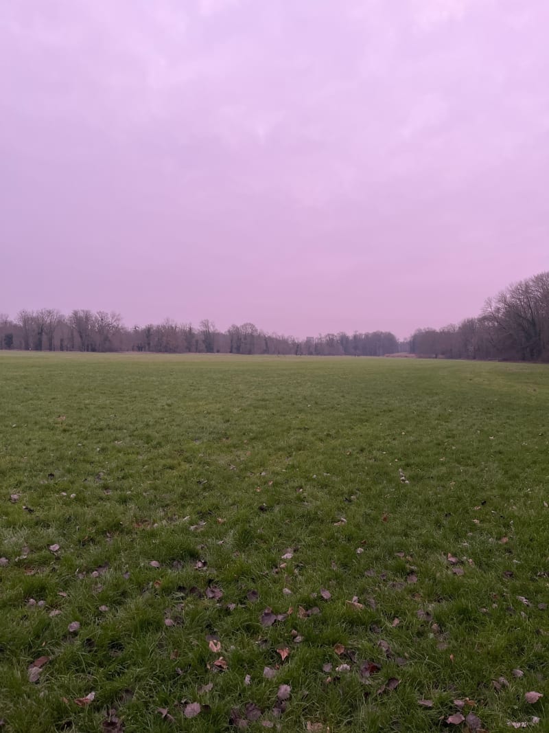 Château de champ - Noisiel