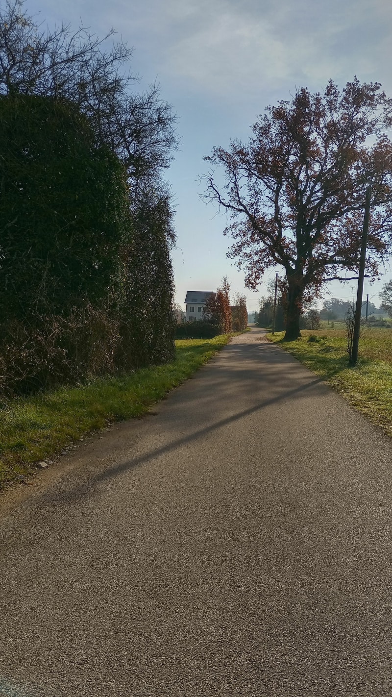 Randonnée du Téléthon à Morestel - Morestel
