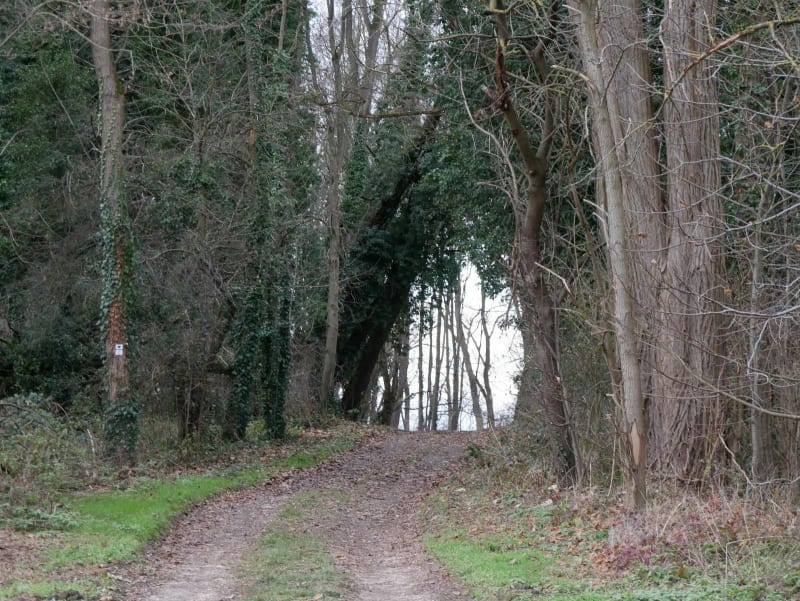 Sur les hauteurs de Brunstatt ... - Brunstatt-Didenheim