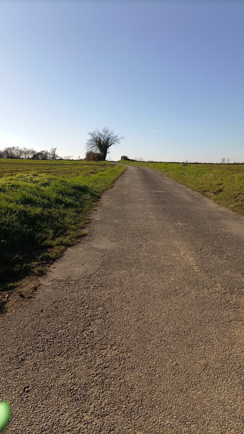 Marche à Creys par Daleigneu - Creys-Mépieu