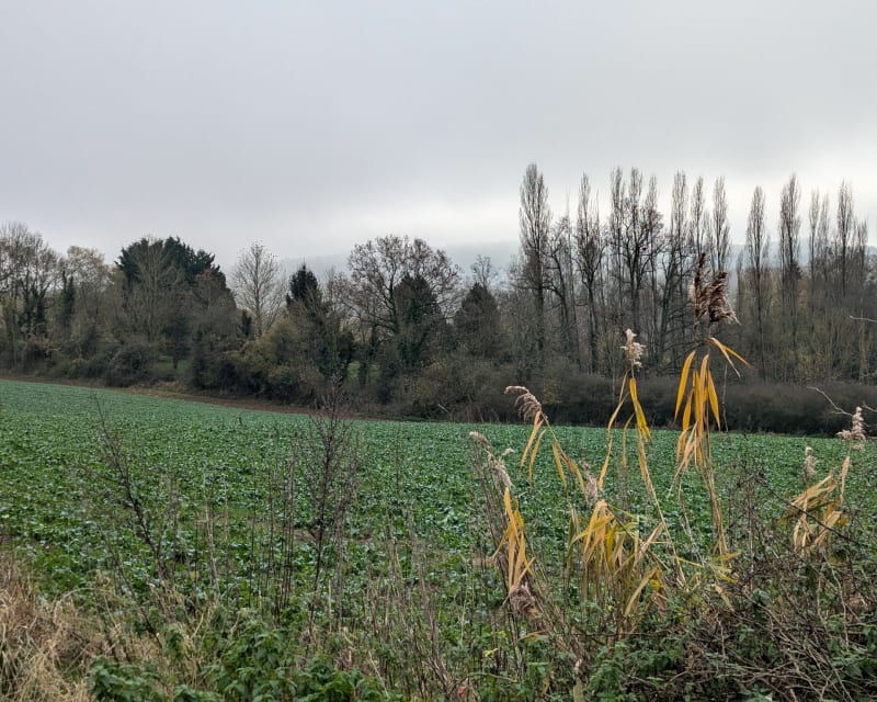 Boucle de Sainte-Euphraise, par Belleaucourt - Coulommes-la-Montagne