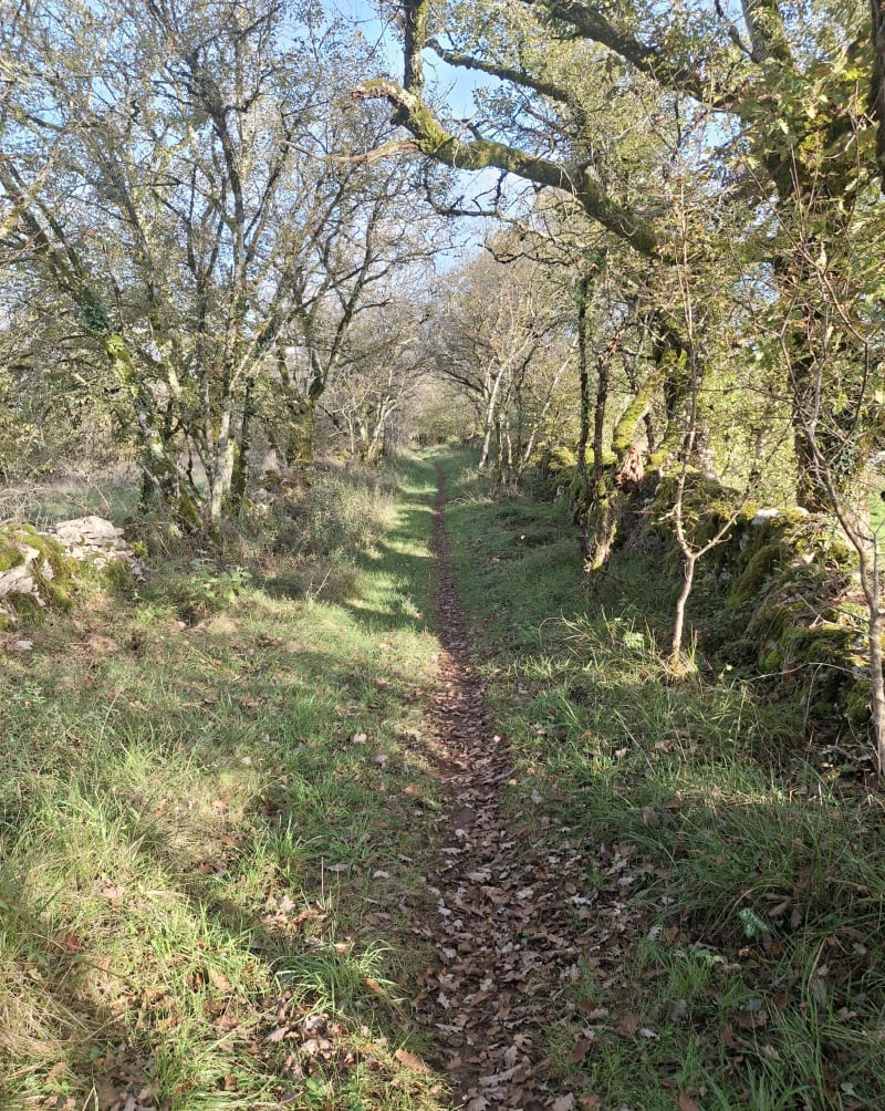 Flaujac gare - Flaujac-Gare