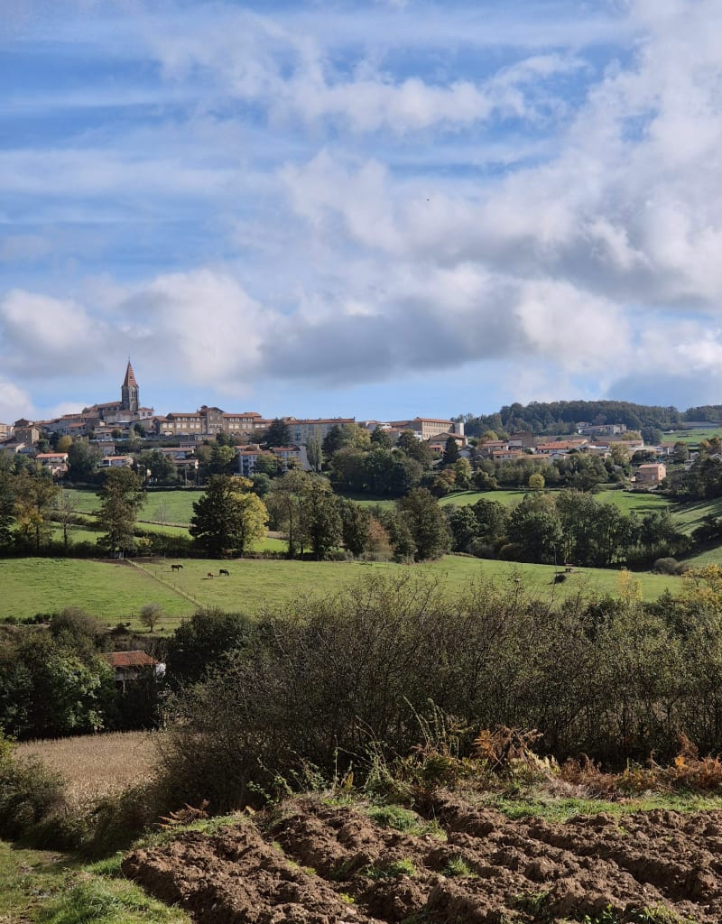 Balade aux alentours de Saint-Martin-en-Haut - Saint-Martin-en-Haut