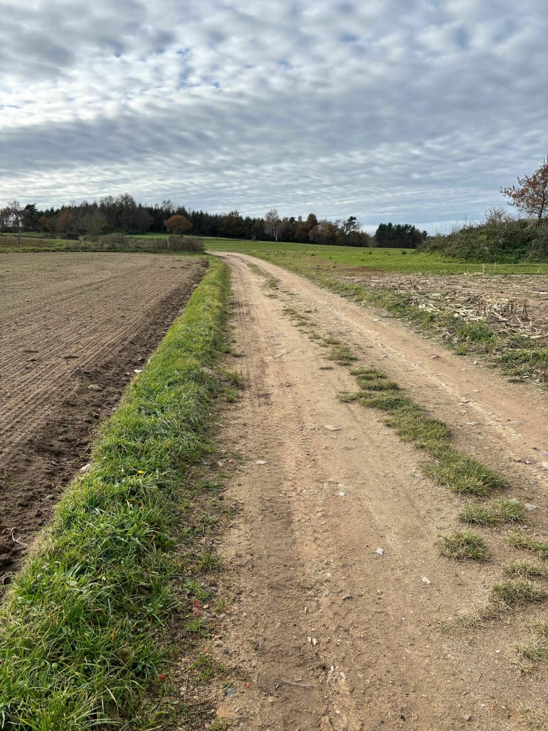 St-Maurice-en-Gourgois - Saint-Maurice-en-Gourgois