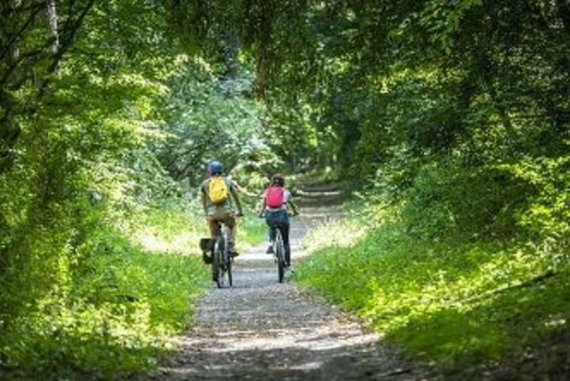 Entre forêt et village à Villemeux-sur-Eure - Villemeux-sur-Eure