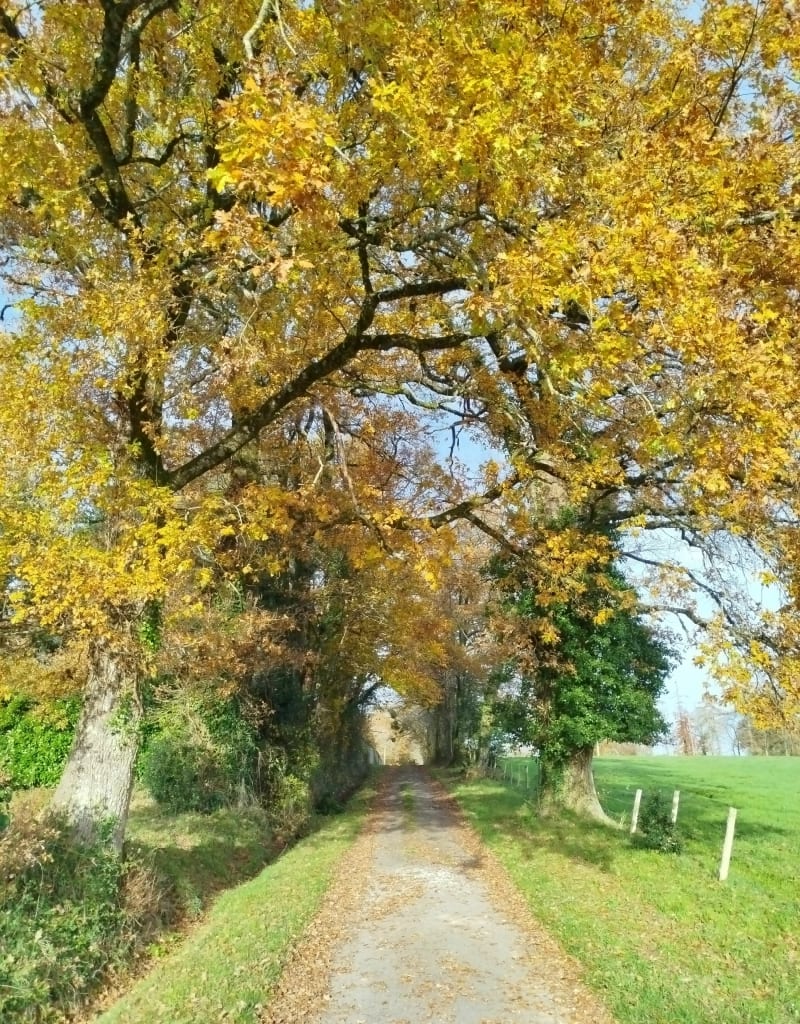 Landouge et le sentier des 3 ruisseaux - Limoges