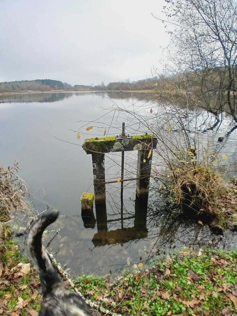 Balade forestière et étang des Landes - Pruniers-en-Sologne