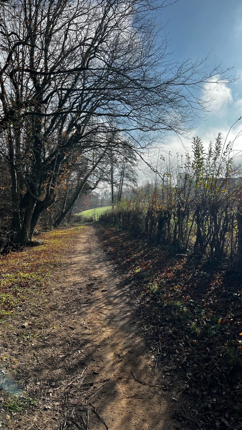 Boucle autour de Grézieu - Grézieu-la-Varenne