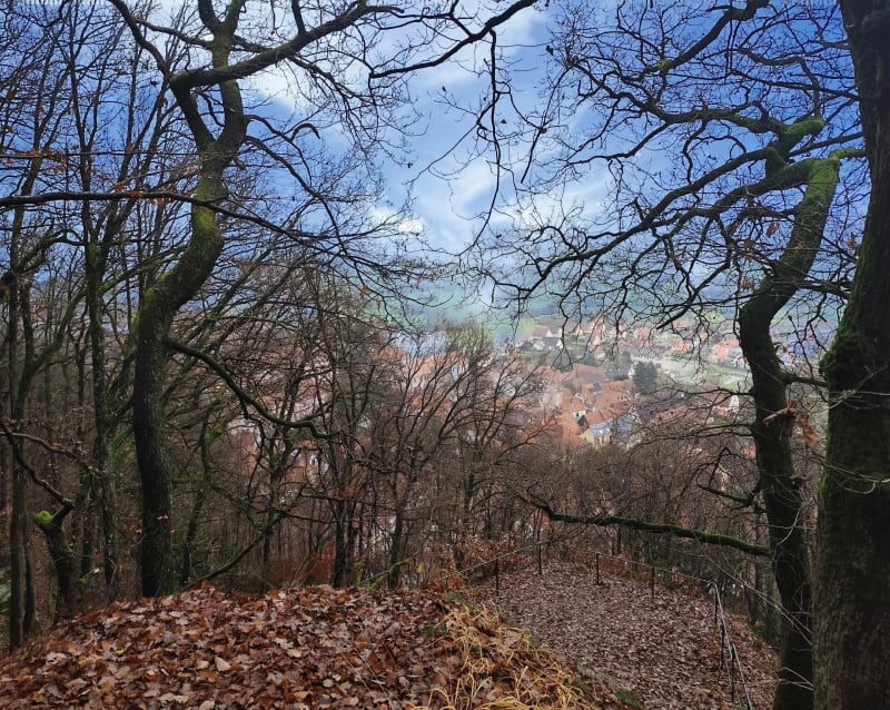 Randonnée d'Oberbronn jusqu'au château de la Wassenbourg - Oberbronn