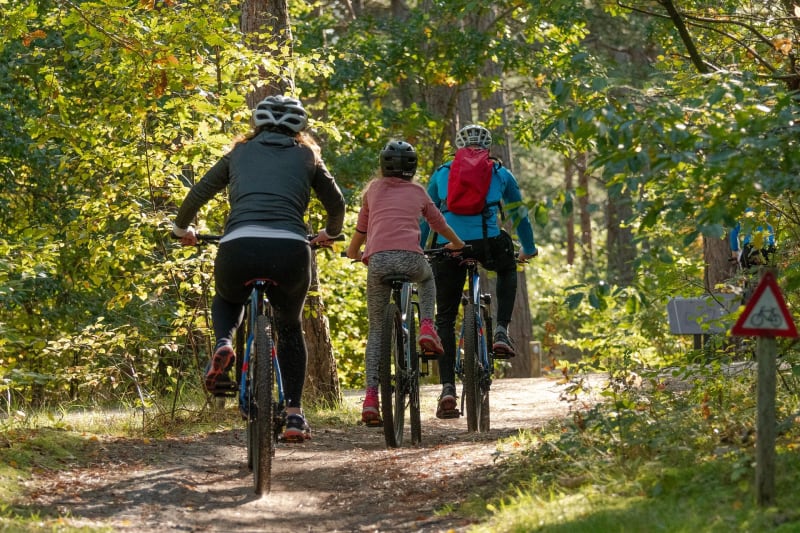 Dans les bois de Saint-Avé - Saint-Avé