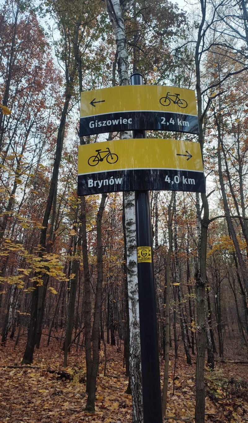 Rowerowa wycieczka nową katowicką velostrada rowerową - Katowice