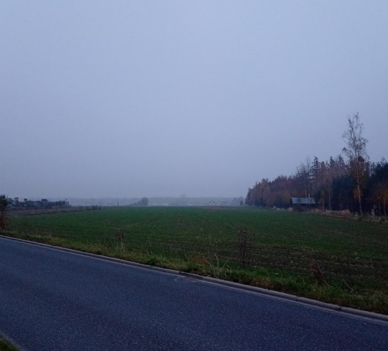 Przejażdżka rowerowa wokół radłowsko-zacharzewskich pól - Ostrów Wielkopolski