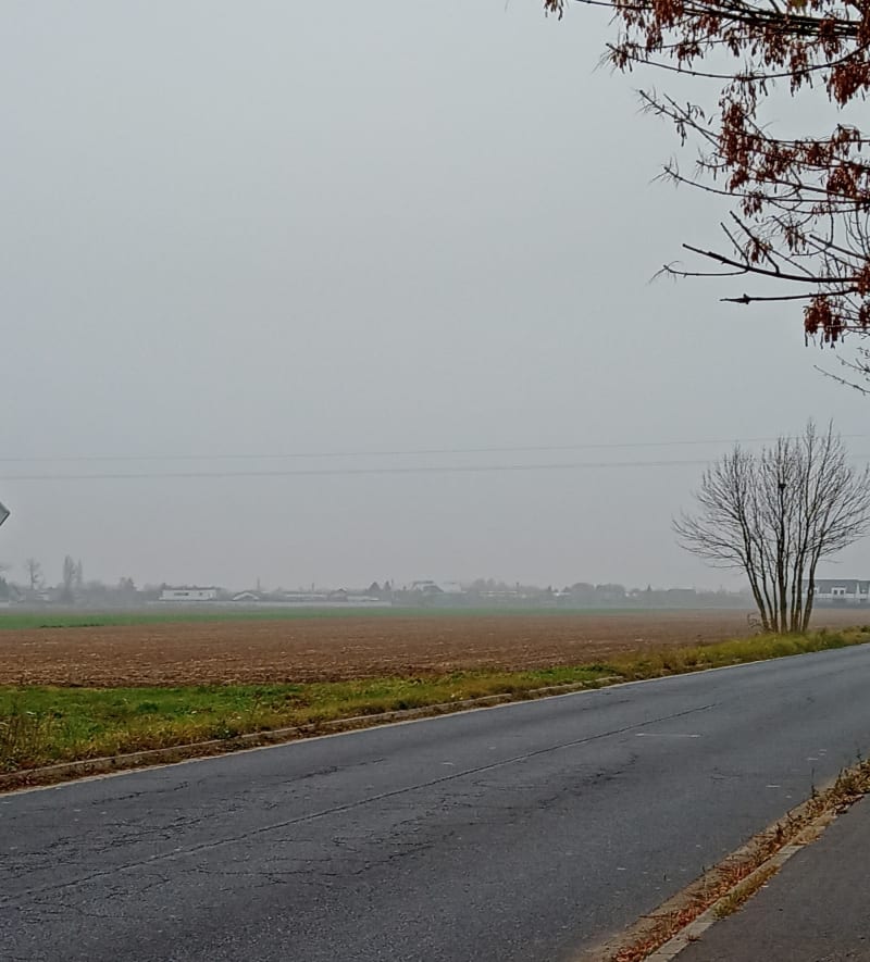 Przejażdżka rowerowa wokół ostrowskich pól - Ostrów Wielkopolski