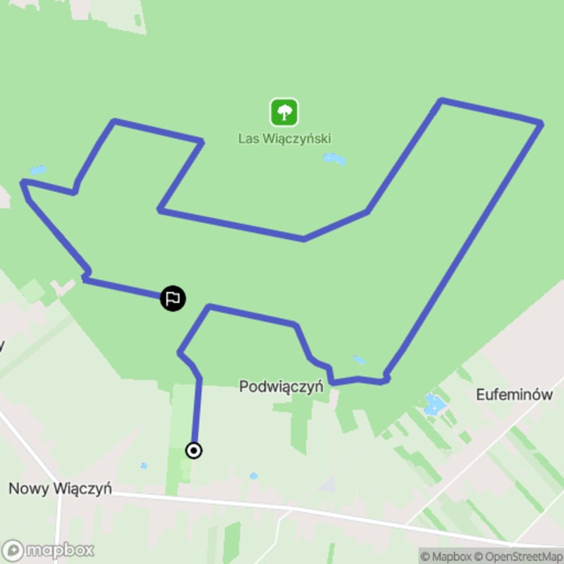 Wymagający bieg trailowy na 10,3 km w Lesie Łódzkim - Wiączyń Dolny