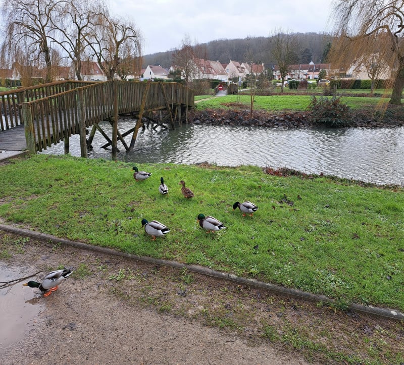 Plan d'eau à Breuil-le-Sec - Breuil-le-Sec