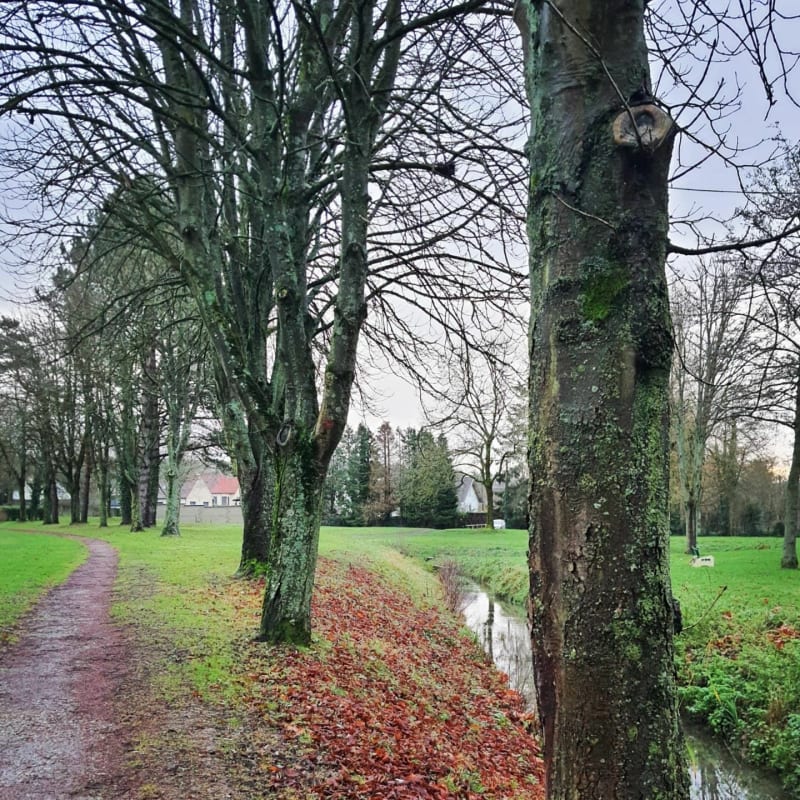 Boucle Doullens Grouche - Doullens