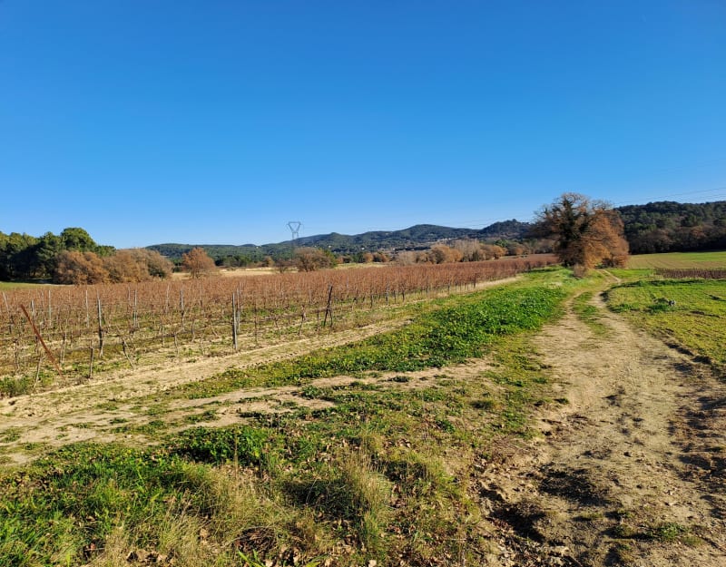 Balade dans le domaine de Caire Val - Rognes