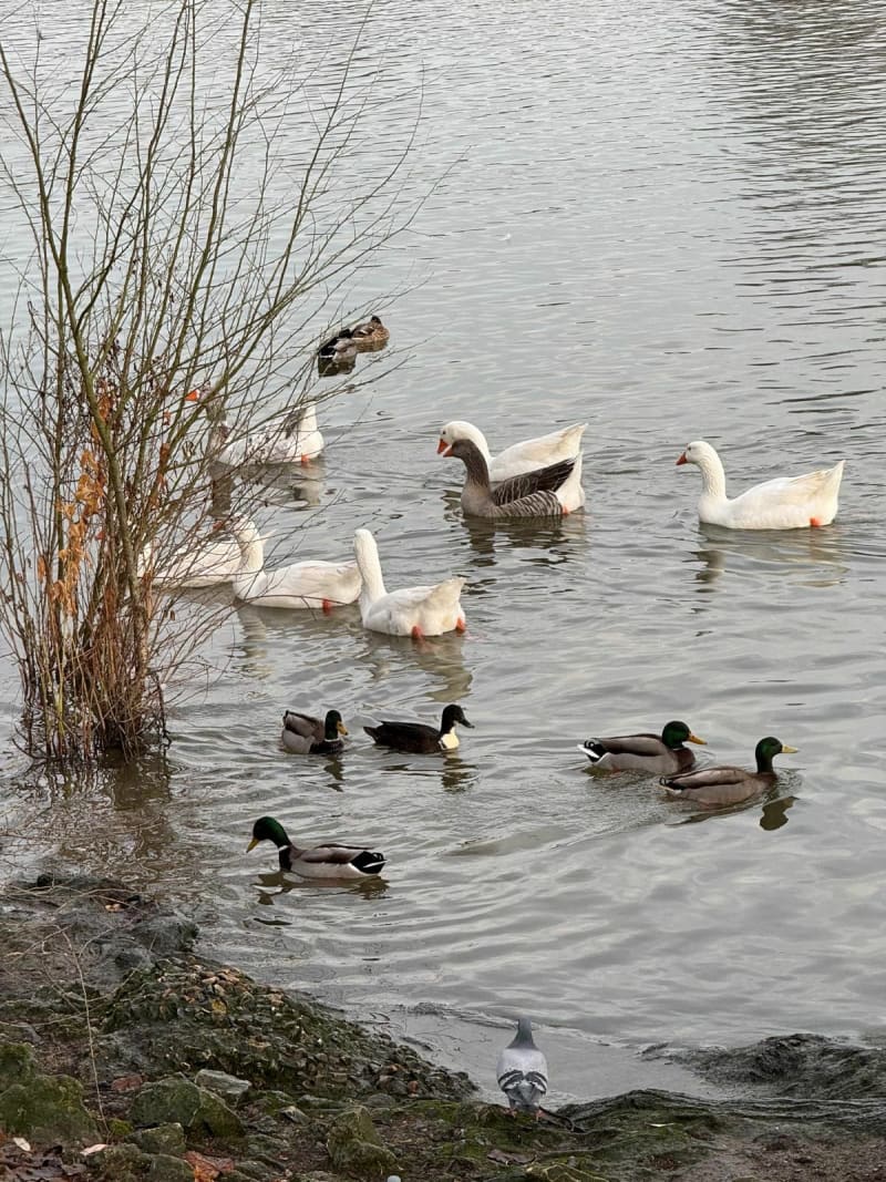 Grand Val Vernon - Notre-Dame-de-la-Mer