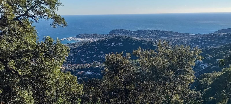 Les hauts de Cavalaire sur mer et de La Croix Valmer - Cavalaire-sur-Mer