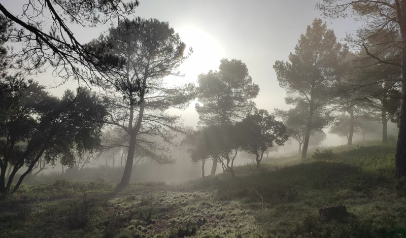 Rando VTT 10 km à Sérignan du Comtat - Sérignan-du-Comtat