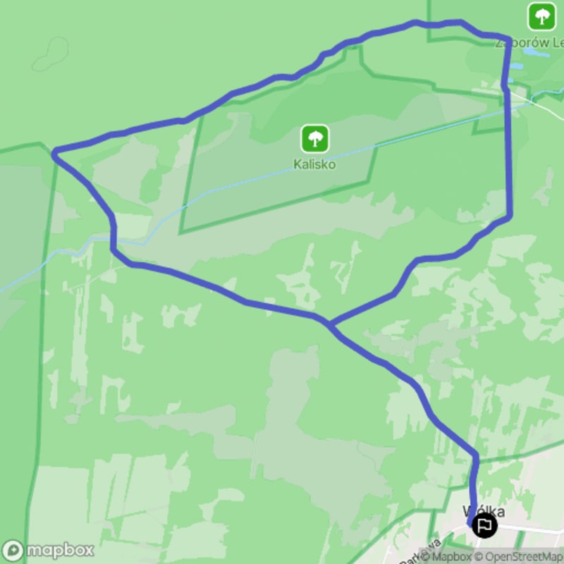 Kampinoski Park Narodowy - trudna pętla dla hardkorowców (12,3 km) - Wólka