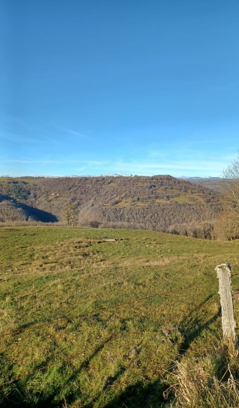 Peyrarque lac de Sarans - Argences-en-Aubrac