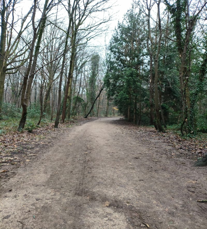 Grande promenade dans la Forêt de Bondy - Clichy-sous-Bois