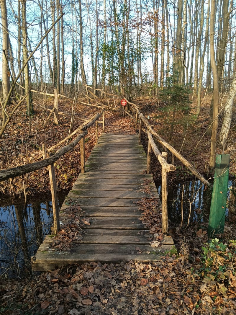 La Wantzenau parcours forestier - La Wantzenau