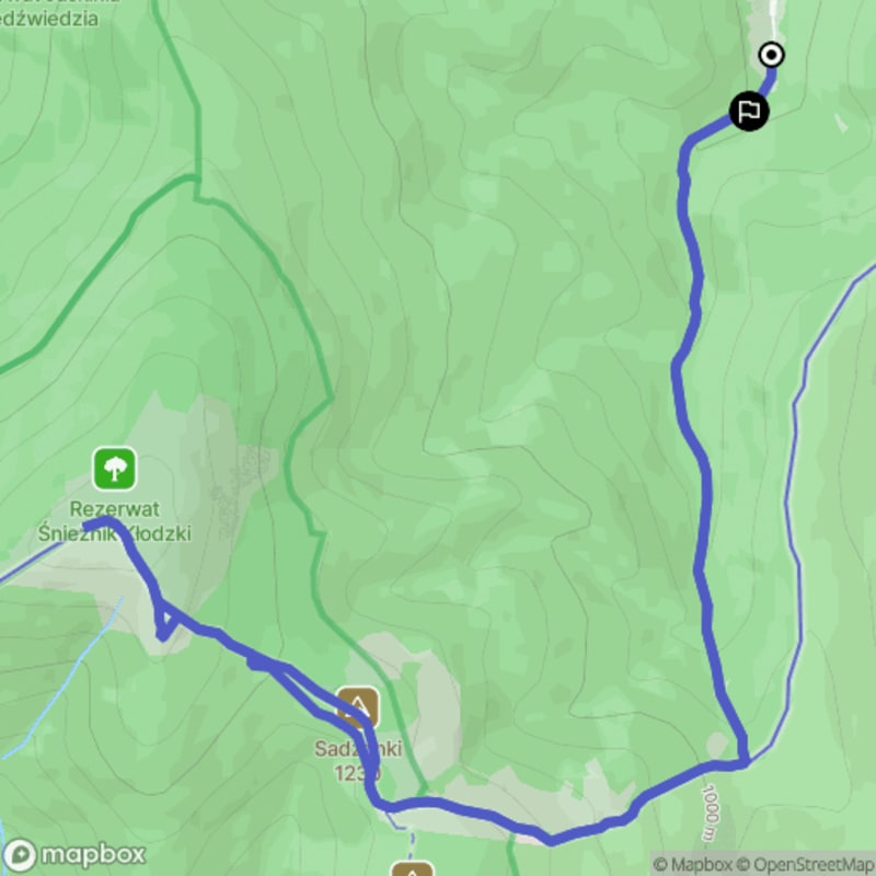Trudna 12-kilometrowa wędrówka: Kamienica na Śnieżnik - Kamienica