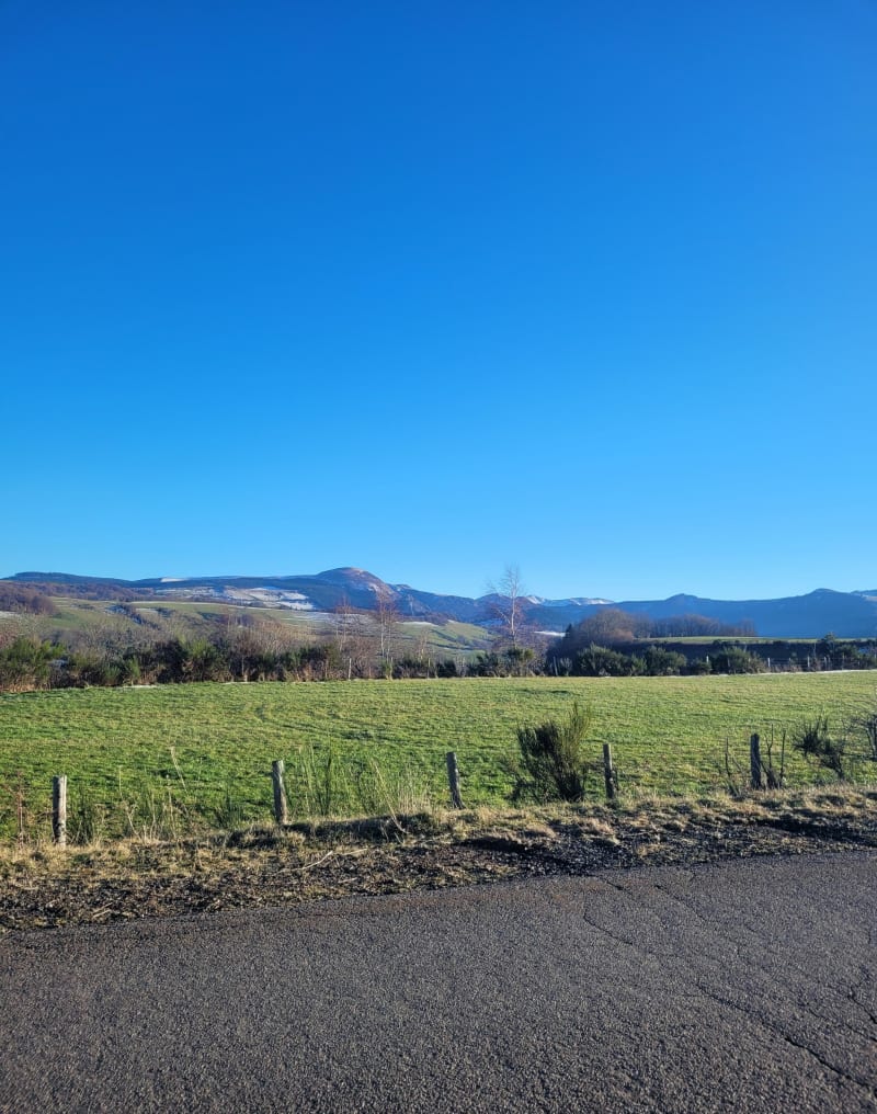 Vue sur les Sancy enneigés - Perpezat