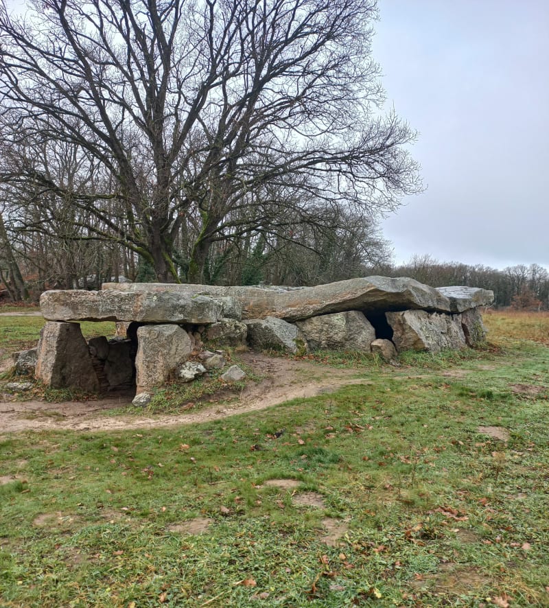 Dolmen de la Bajoulière, boucle au départ de Saint-Maur - Gennes-Val-de-Loire