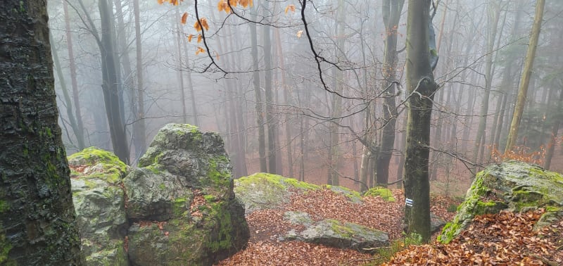 15 km w okolicy Suchedniowa - Suchedniów