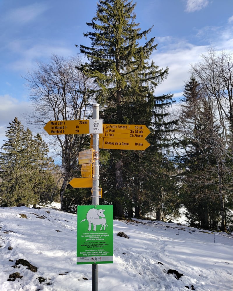 Balade au Sommet du Mont d'Or - Rochejean