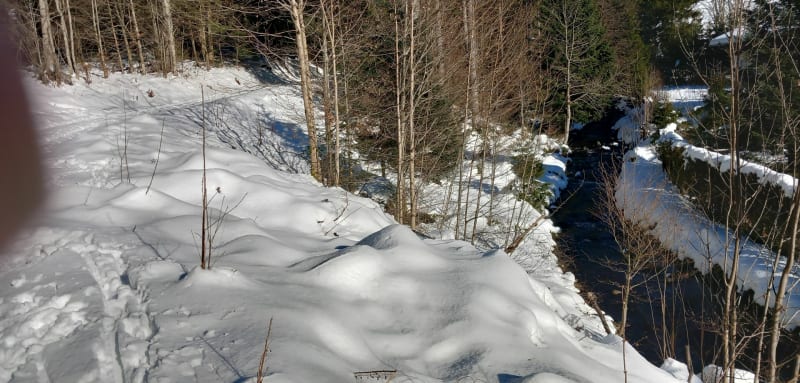 Lac de Lispach et de la Ténine - La Bresse