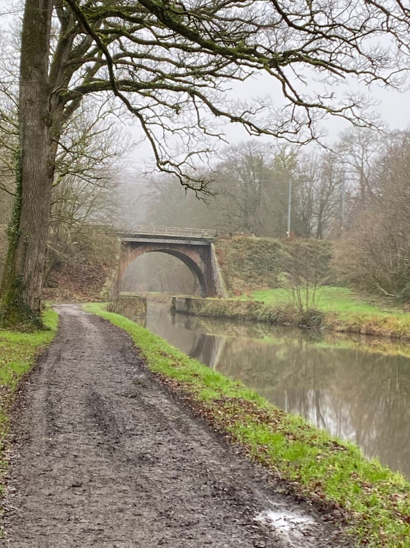 Balade le long du canal d’Ille-et-Rance et Maison éclusière - Saint-Médard-sur-Ille