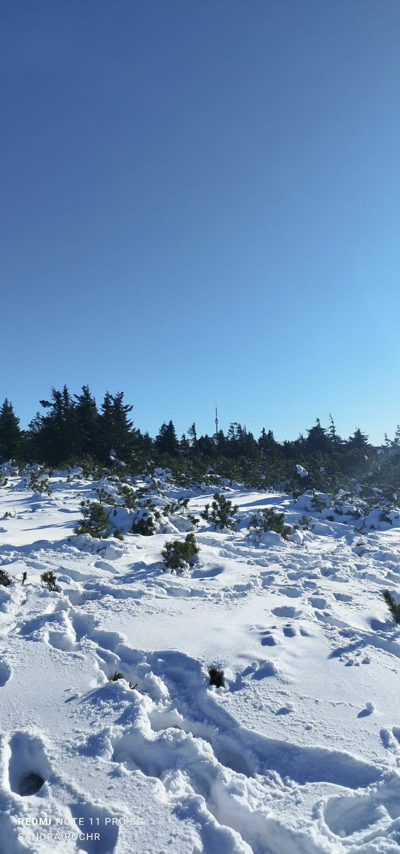 Červenohorské sedlo - Švýcárna - Loučná nad Desnou