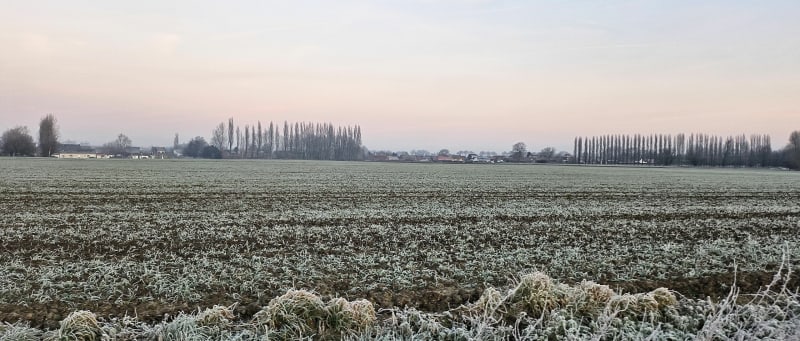 Balade dans les bois de Roquelaure - Allouagne