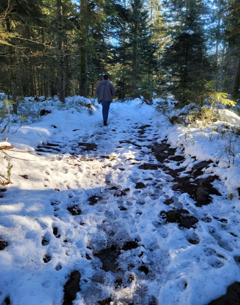 Roches du Sapin, de l'Ormont et Tête de Raves - Nayemont-les-Fosses