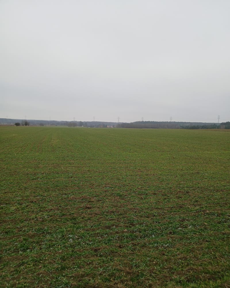 Leśna trasa - Składowice