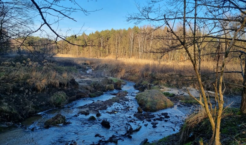 Dolina jamny. - Katowice