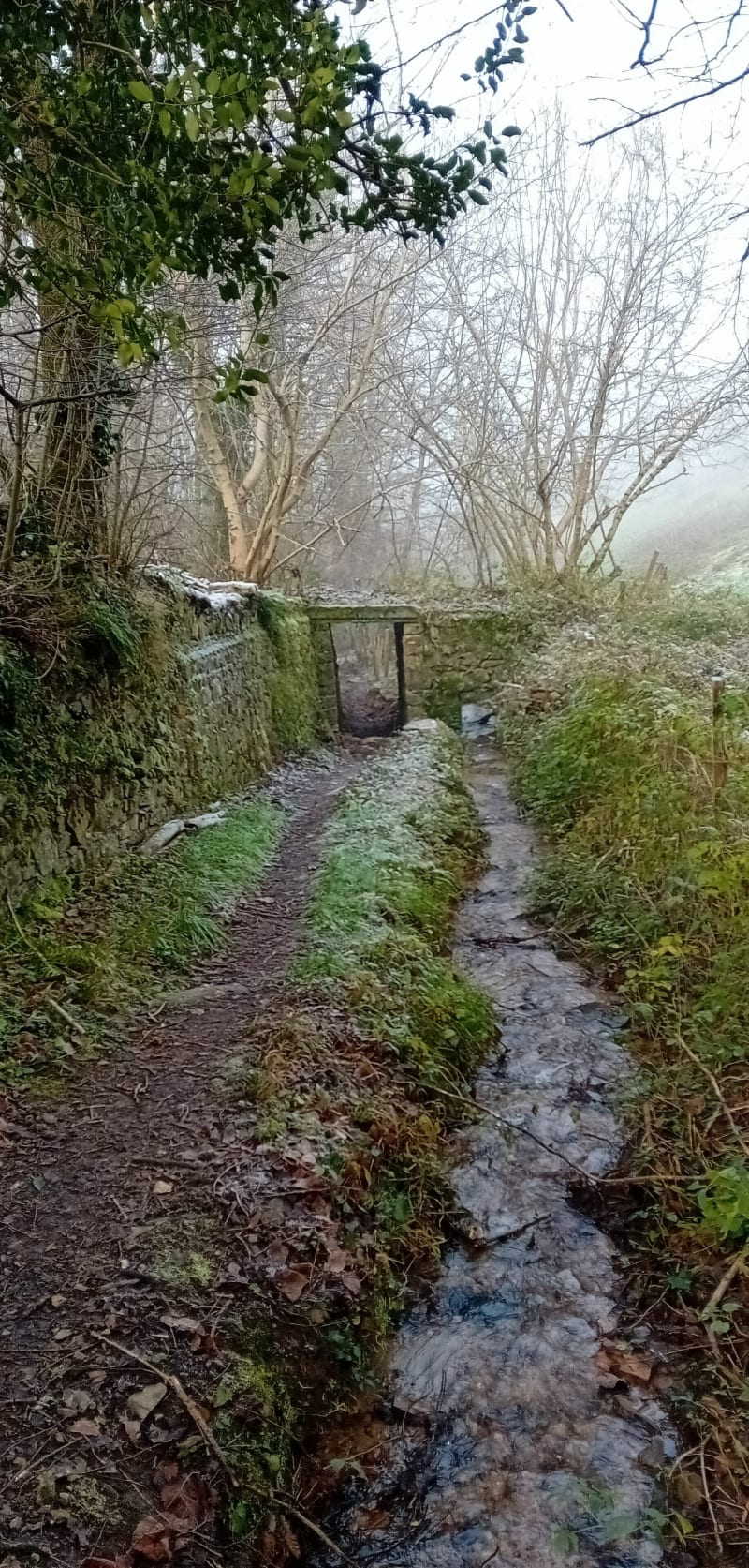 Boucle dans la campagne de Chevinay - Chevinay