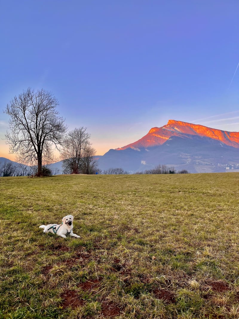 Balade à la colline de L’Echaud - La Ravoire