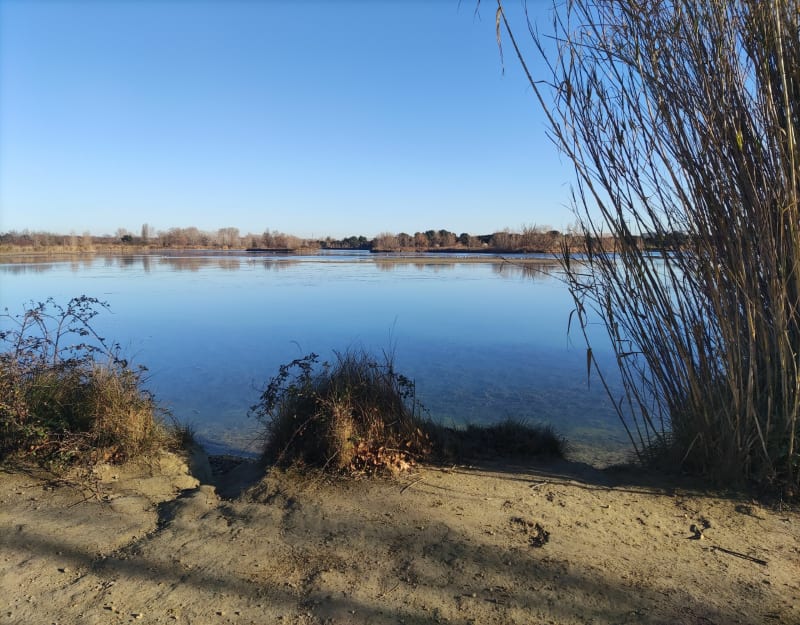 Randonnée nature à la baisse de Raillon - Saint-Martin-de-Crau