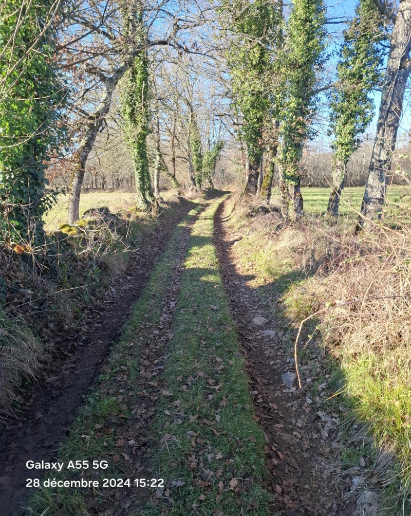 De Trigodinas au chemin de Lompla - La Rouquette