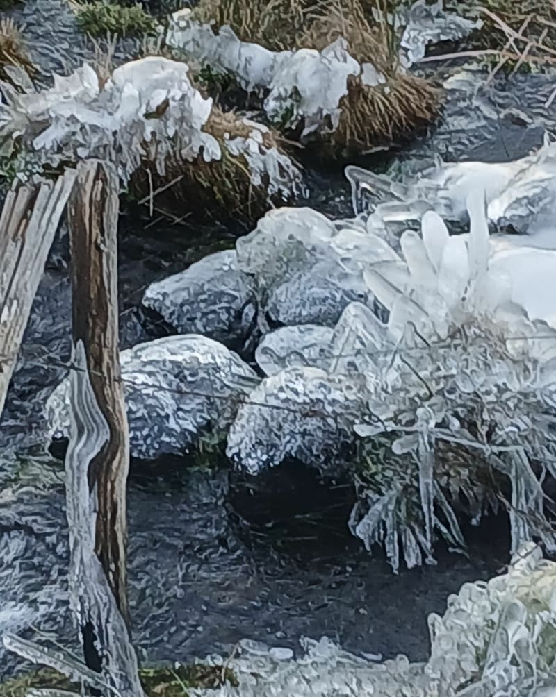 Balade autour de la Godivelle par la Lac de Saint-Alyre - Saint-Alyre-ès-Montagne