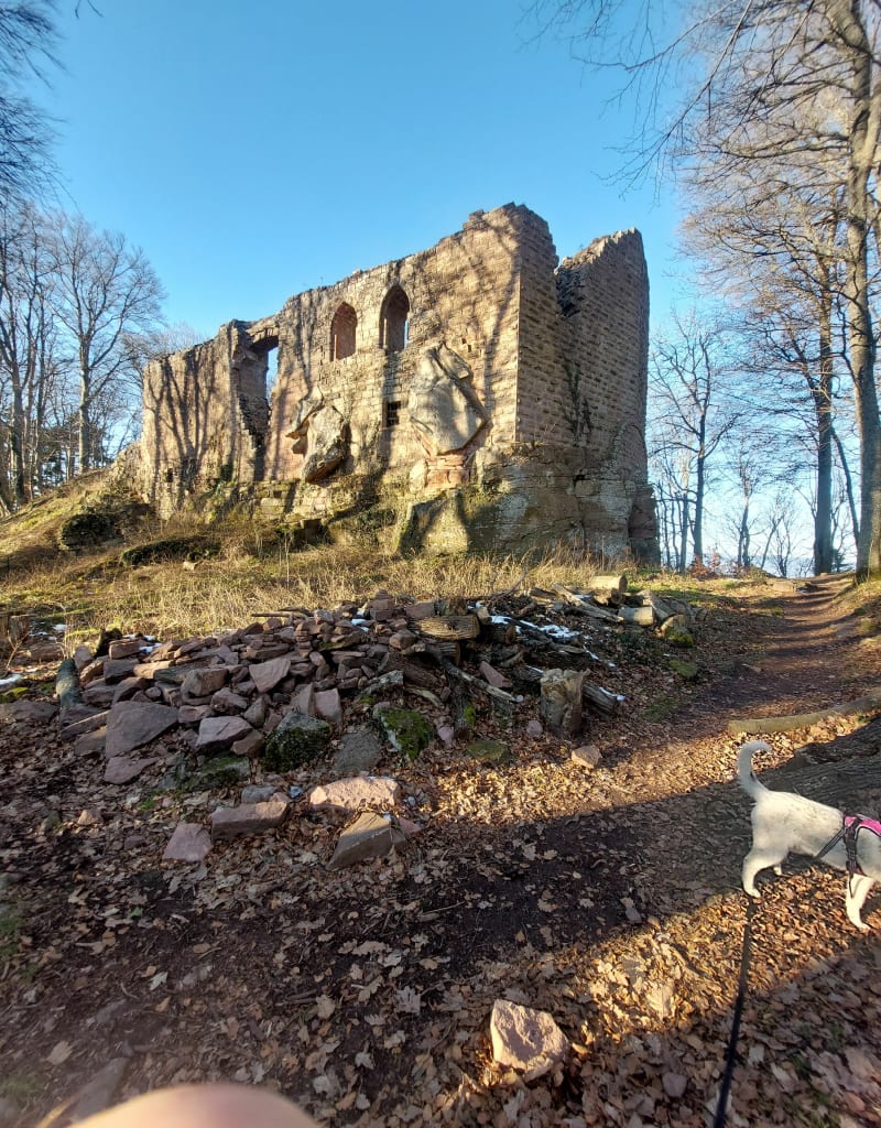 Balade Thannenkirch vers le Haut Koenigsbourg - Thannenkirch