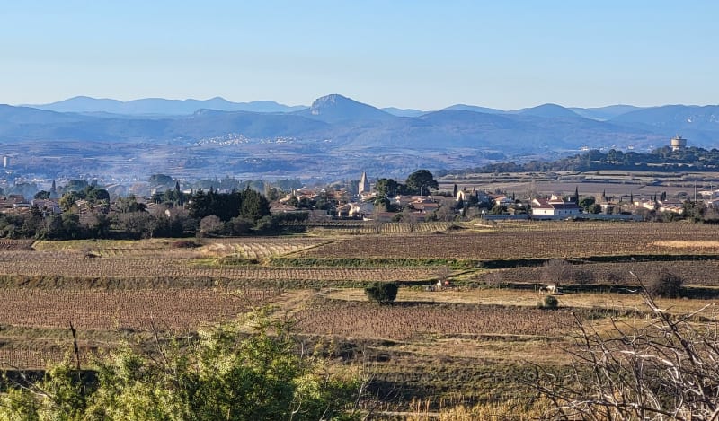La garrigue autour de Saint Pargoire - Saint-Pargoire
