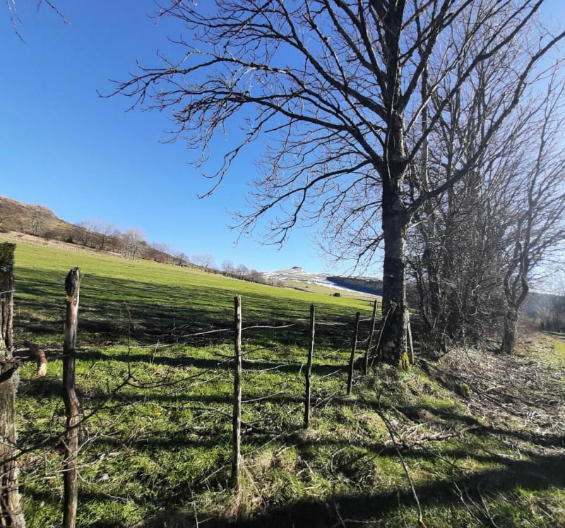 Laqueuille vue sur la Banne d'Ordanche - Laqueuille